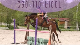 CSO 110cm en licol [upl. by Irihs]