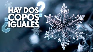 ¿Cómo se forma un COPO DE NIEVE  Todos Sabios [upl. by Conti]