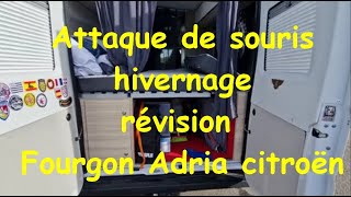 Nouvelle installation Hivernage les souris misère Info révision fourgon Adria twin [upl. by Annalee251]