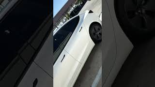 Tesla model 3 2023 🔥🔥😎😎❤️coronacalifornia windowtint tinting teslamodels teslalovers ff [upl. by Meredi273]