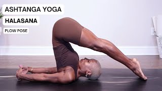 Halasana  Plow Pose  Ashtanga Primary Series  Finishing Sequence [upl. by Odlabso]