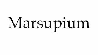 How to Pronounce Marsupium [upl. by Wilterdink]