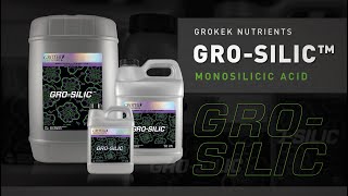 Grotek Nutrients  GroSilic™ [upl. by Ailaham767]