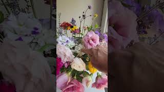 Why Growing Dianthus is Valuable to a FarmerFlorist freshflowers flowercultivation anthophile [upl. by Nwad207]