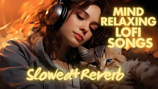 Mind 💕 Relaxing Lofi Mashup  MOOD FRESH LOFI 💕 SONGS  slowedandreverb hindisongslofimix dj [upl. by Shari]