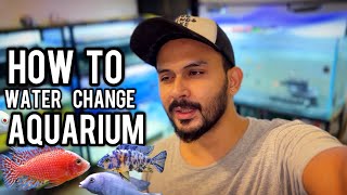 How to Clean amp Perform Water Changes in a Large Aquarium StepbyStep Guide  Imrans World [upl. by Kreis239]