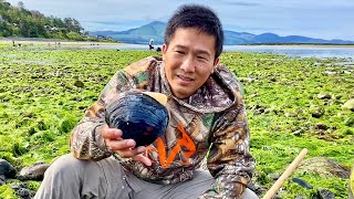 Foraging on the Oregon Coast Gaper Clam Digging in Netarts Bay [upl. by Schroer]