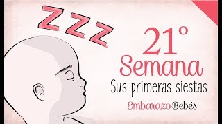 SEMANA 21 de Embarazo  5º Mes  Semana a semana [upl. by Enitsenrae]