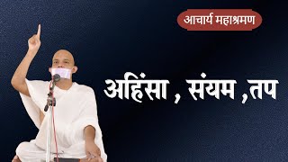 Pravachan  Ahimsa  Sanyam  Tap [upl. by Essilevi]