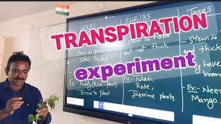 TRANSPIRATION EXPERIMENT  PLANT  STOMATA [upl. by Frayne]