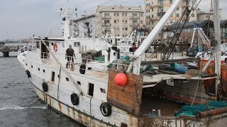 CHIOGGIA CAPITALE DELLA PESCA SPORTIVA 1 3 SETT [upl. by Aneekan812]