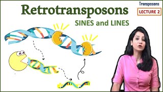 Retrotransposons II LINES SINES II Transposons Part 2 [upl. by Jeniece]