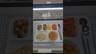 🇰🇷 3800원 식단🍱 Korean companys 3 meal plan [upl. by Yeoz]