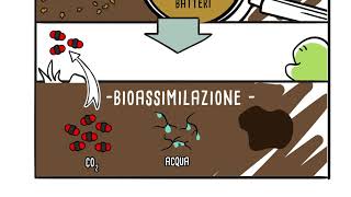 La biodegradazione al centro dellequilibrio della natura [upl. by Anitsahs59]