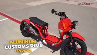 Ice Bear MADDOG GEN V Ruckus Style 50cc Scooter  Motobuyscom [upl. by Floss973]