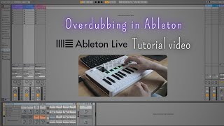 How to add midi notes to an existing loop in Ableton  Overdubbing Tutorial  Arturia MiniLab 3 [upl. by Hanauq]