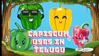 kiddies cartoon capsicum Capsicum uses in teluguvegetables for good healthvegetables kiddee [upl. by Wolfy]