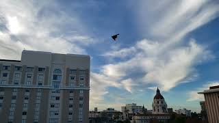 2024 Rose Bowl Parade B2 Stealth Bomber Flyover [upl. by Elagiba383]