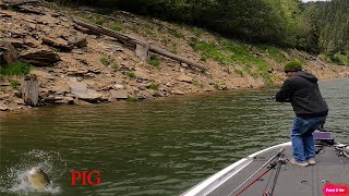 FISHING for GIANT Smallmouth Unexpected Visitor [upl. by Thanasi]