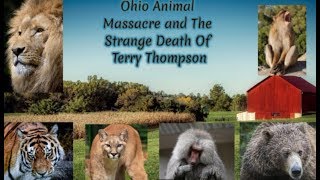 The strange death of Terry Thompson and the zanesville animal massacre [upl. by Eiznik381]