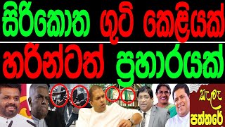 සිරිකොත ගුටි කෙළියක් හරින්ටත් ප්‍රහාරයක්kala paththareකැලෑ පත්තරය [upl. by Naehs519]