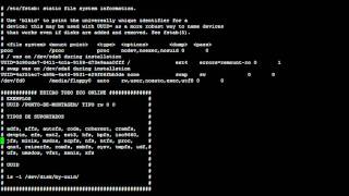 Montando partições NTFS no Ubuntu Server [upl. by Ennaeirb]