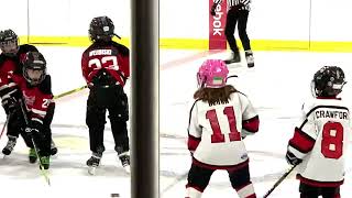 Youth Hockey League November 162024 [upl. by Arait]