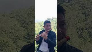 timi tare vir orginal singer pabitra subba flute cover mitra rai [upl. by Aynav]