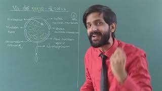 Cell The unit of life  Lecture 16  Nucleus  Euchromatin Heterochromatin Chromosomes amp its Types [upl. by Searby]