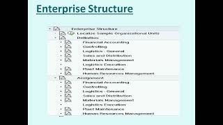 4 SAP Enterprises Structure [upl. by Jarrod304]