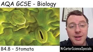 B48  Stomata  AQA Biology GCSE 91 [upl. by Enyak]