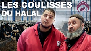 LE HALAL EN FRANCE C’EST FINI [upl. by Stoughton]