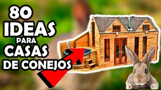 impresionantes 80 ideas de CASITAS PARA CONEJOS fáciles jaula de conejo en casa bunny rabbit [upl. by Candice]