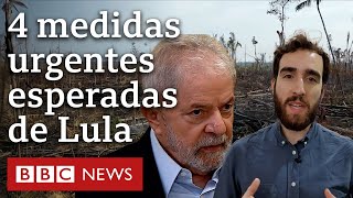 Amazônia o que Lula deveria fazer contra alta na destruição [upl. by Dahcir]