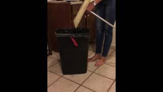 Norwex Superior Mop System vs dog hair [upl. by Dolhenty]