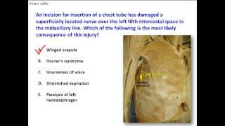 Which nerve is injured by an incision for insertion of a chest tube [upl. by Maighdiln]