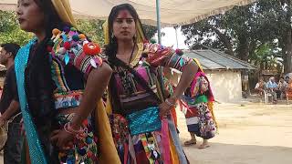 Ranatharu HOri Dance of BELAUI KANCHANPUR 2018 [upl. by Weylin]