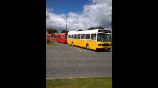 Northern General Leyland National 2s FTN 708W and FTN 710W with National Welsh YFY 4M [upl. by Amsirp]