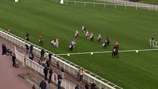 Les enfants amp les poneys sont à la fête aux Dimanches au Galop [upl. by Ottie981]