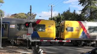 Level Crossing Blackwood SA Australia [upl. by Deys]