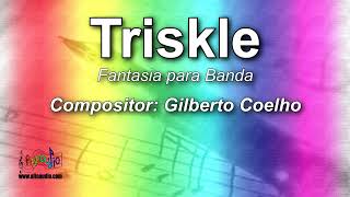 Triskle  Gilberto Coelho  Fantasia para Banda [upl. by Nylhtak486]