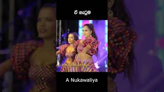 නර්ථනයට පුංචි හාපන්නු [upl. by Acinomaj483]