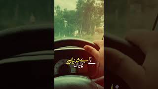 Aay Gali bewafa diii muhala harjaiya daaa car slowed drivesafe reelsvideo travel likeme [upl. by Hibbs252]