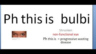 Ophthalmology 166 a PhThisIs Bulbi shrunken eye ball Stages atrophic atrophy causes [upl. by Tennaj]