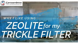 Why I like using zeolite filter media for my trickle filter setup [upl. by Filippo]