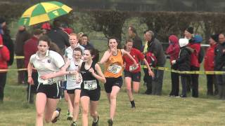 AVIVA Irish Schools Cross Country Championship Part 3 [upl. by Addiego]