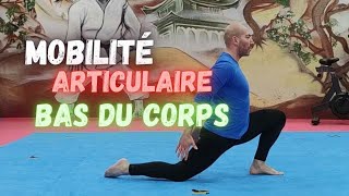 MOBILITE ARTICULAIRE BAS DU CORPS Nouvelle séance ECHAUFFEMENT pour commencer votre entraînement [upl. by Duer]