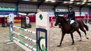 Noah v tangelo vd Zuuthoeve x triomphe de muze  jumping Franeker against the clock 3rd place [upl. by Nalliuq820]