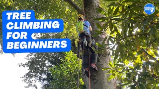 Basic climbing techniques Basic tree ascent [upl. by Attenal134]