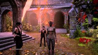 Dragon Age Inquisition  Morrigan explains what happened to hero of Ferelden [upl. by Sirapal]